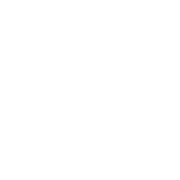 SkyMentor